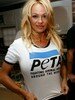 Pamela Anderson Pamela Anderson
