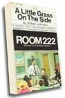 Room 222 - A Little Grass on the Side